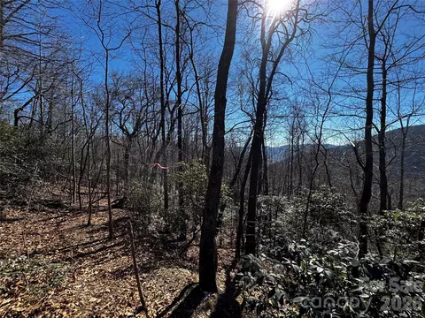 Acacia 936 Court #936, Black Mountain, NC 28711
