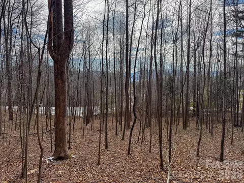 770 Somersby Pkwy, Hendersonville, NC 28739