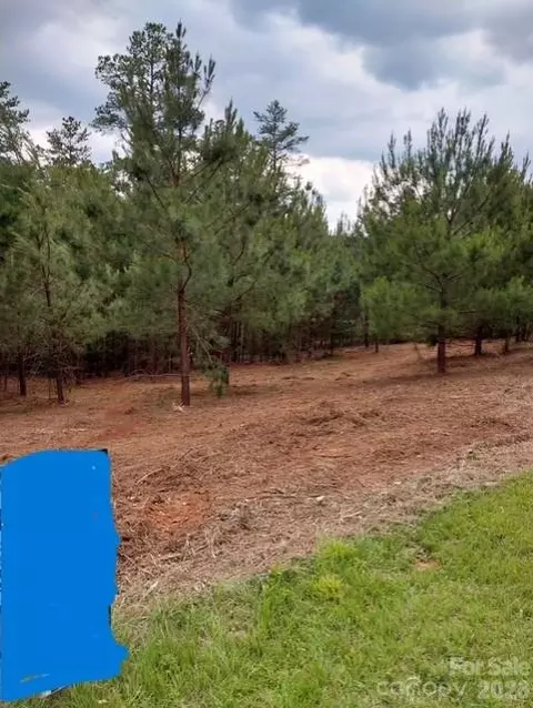 Waters Edge 52 Drive #52, Granite Falls, NC 28630
