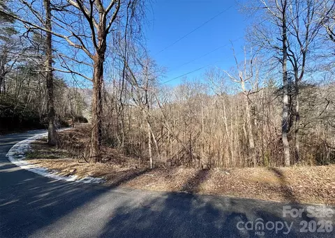 42 Asa Gray Dr, Lake Lure, NC 28720