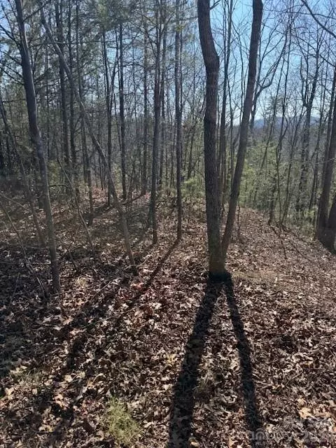 000 Dobson Knob Loop Rd, Marion, NC 28752 photo 3