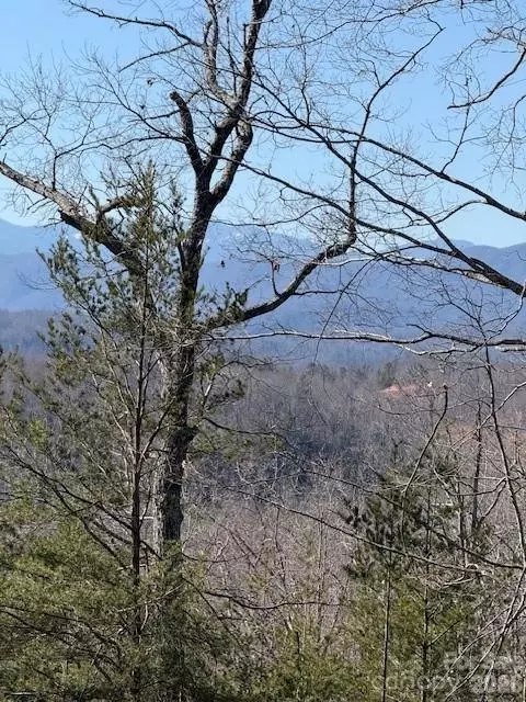 000 Dobson Knob Loop Rd, Marion, NC 28752