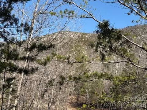 000 Dobson Knob Loop Rd, Marion, NC 28752 photo 6
