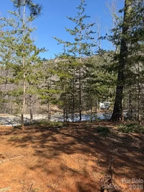 000 Dobson Knob Loop Rd, Marion, NC 28752 photo 5