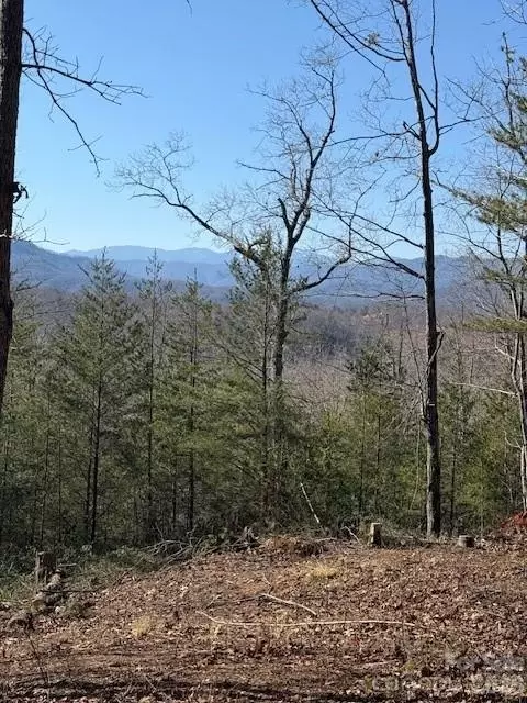 000 Dobson Knob Loop Rd, Marion, NC 28752 photo 2