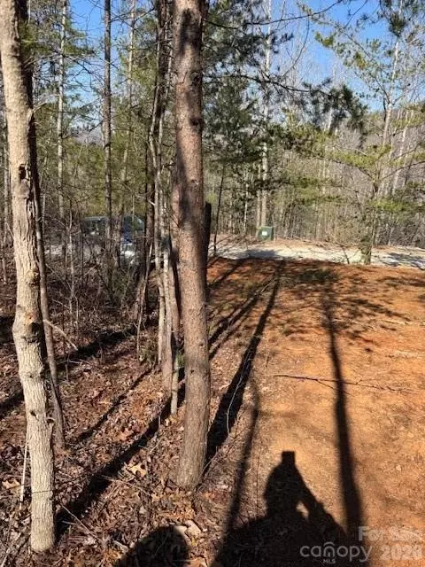 000 Dobson Knob Loop Rd, Marion, NC 28752 photo 4