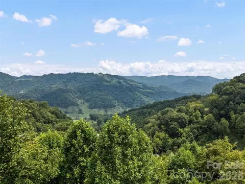 Other - 1225 Clark Rd, Clyde, NC 28721 photo 4 of 13