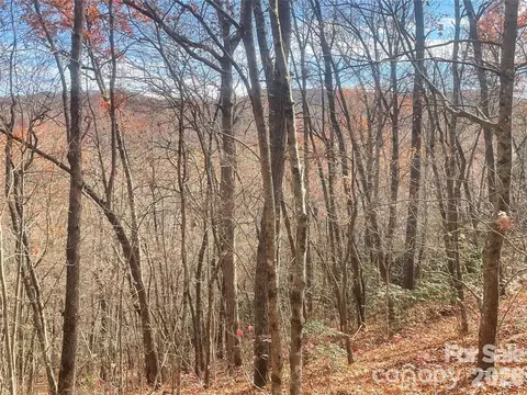 000 Yates Ave, Black Mountain, NC 28711