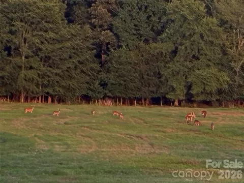 Other - 13215 Pine Bluff Rd, Midland, NC 28107 photo 16 of 18