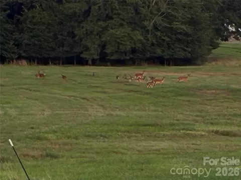 Other - 13215 Pine Bluff Rd, Midland, NC 28107 photo 15 of 18