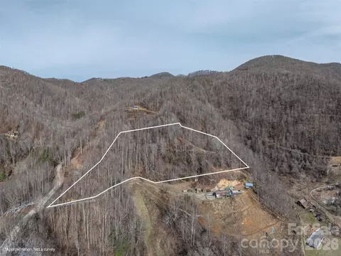00 Max Patch Rd, Clyde, NC 28721
