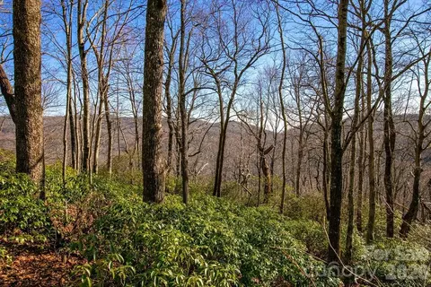 17 Oak Ridge Road West #17, Rosman, NC 28772