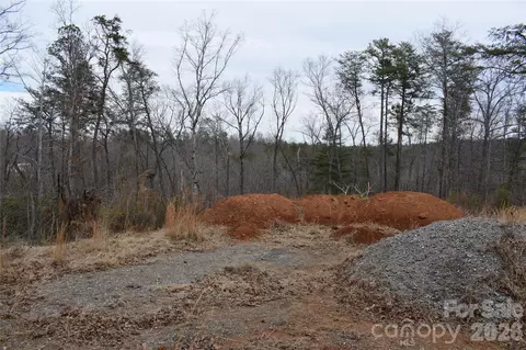 172 Winter Ln, Mill Spring, NC 28756