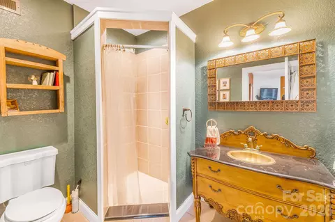 Bath - 22 Mountain Spring Ln, Canton, NC 28716 photo 5 of 5