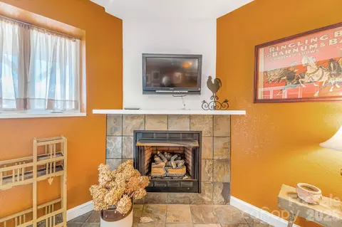 Other - 22 Mountain Spring Ln, Canton, NC 28716 photo 10 of 14
