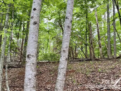 Granny Smith Lane, Lake Lure, NC 28746
