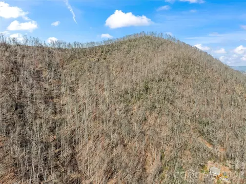 31 Reillys Bluff 2 Rd #2, Barnardsville, NC 28709