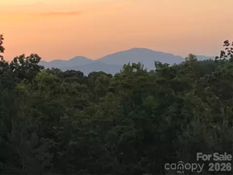 Other - 250 Burt Blackwell Rd, Mill Spring, NC 28756 photo 2 of 17