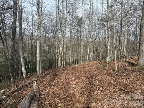 River Run Run, Franklin, NC 28734 photo 8