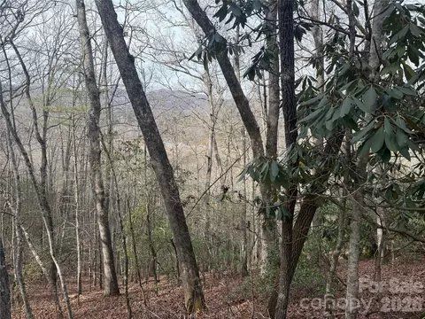 River Run Run, Franklin, NC 28734 photo 7