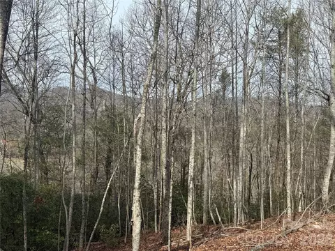 River Run Run, Franklin, NC 28734 photo 4