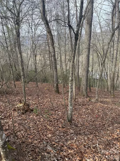 River Run Run, Franklin, NC 28734 photo 9