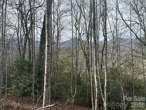 River Run Run, Franklin, NC 28734 photo 5