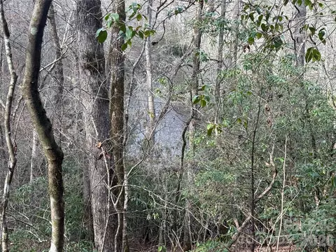 River Run Run, Franklin, NC 28734 photo 13