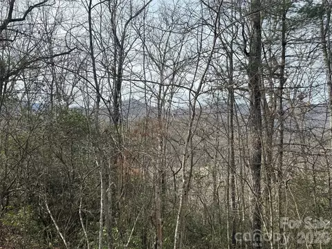 River Run Run, Franklin, NC 28734 photo 3