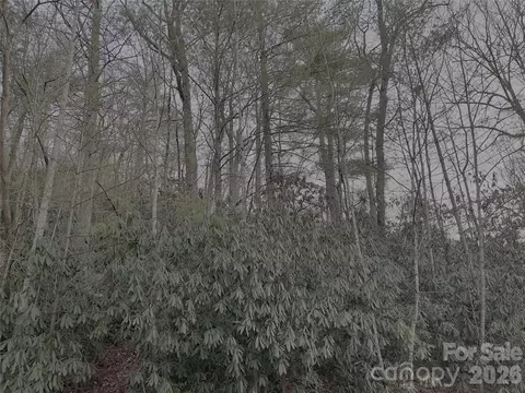 742 Zelda 71 Ct #71, Hendersonville, NC 28792