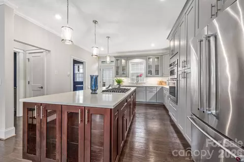 541 Griffith Village Ln, Davidson, NC 28036 photo 5