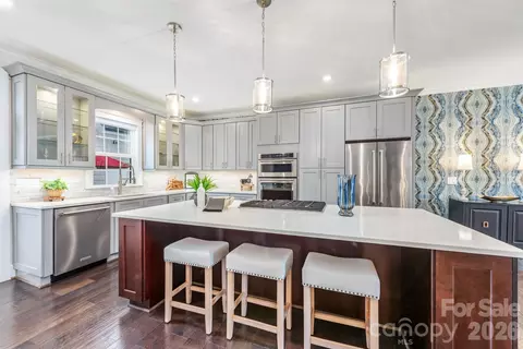 541 Griffith Village Ln, Davidson, NC 28036 photo 8