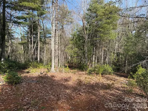 Rich Pine 120 Drive #120, Purlear, NC 28665 photo 10