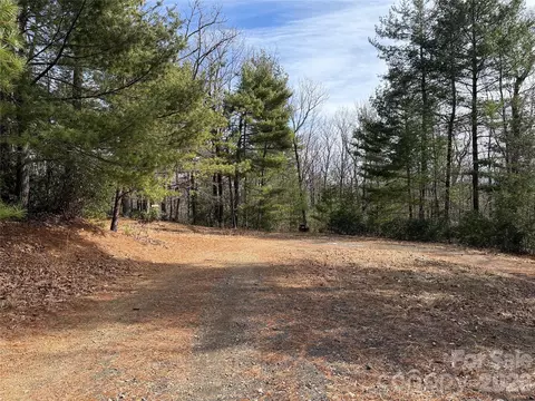 Rich Pine 120 Drive #120, Purlear, NC 28665 photo 3