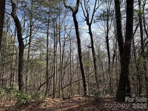 Rich Pine 120 Drive #120, Purlear, NC 28665 photo 15
