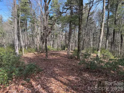 Rich Pine 120 Drive #120, Purlear, NC 28665 photo 12