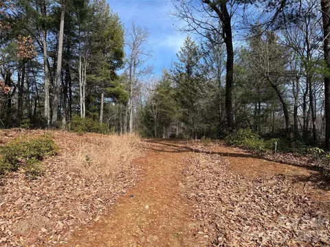 Rich Pine 120 Drive #120, Purlear, NC 28665 photo 5