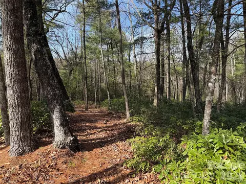 Rich Pine 120 Drive #120, Purlear, NC 28665 photo 11