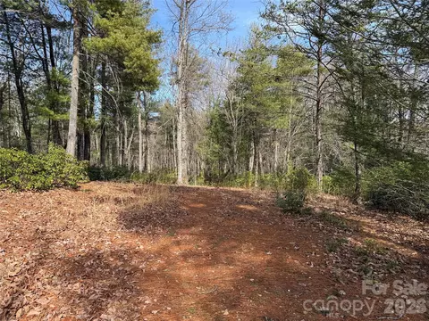 Rich Pine 120 Drive #120, Purlear, NC 28665 photo 8