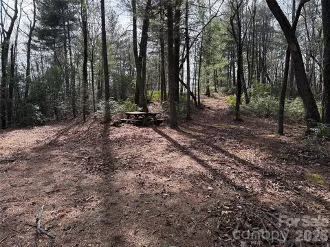 Rich Pine 120 Drive #120, Purlear, NC 28665 photo 2