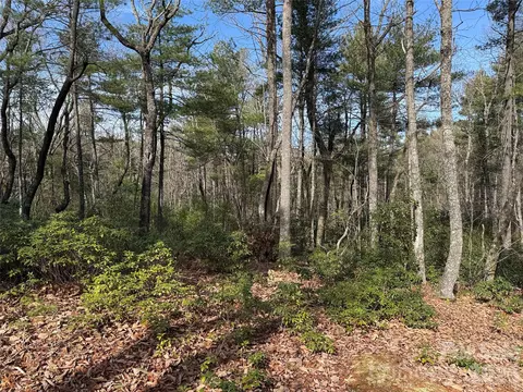 Rich Pine 120 Drive #120, Purlear, NC 28665 photo 14
