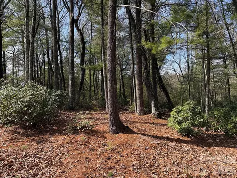 Rich Pine 120 Drive #120, Purlear, NC 28665 photo 13