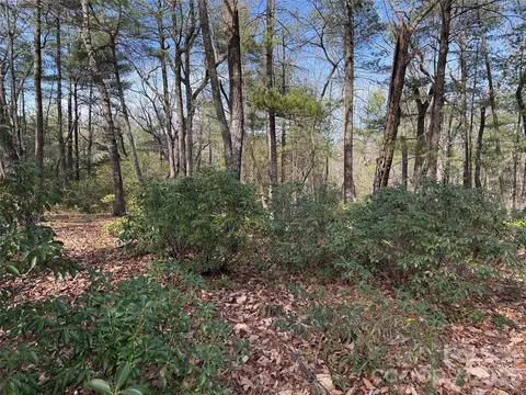 Rich Pine 120 Drive #120, Purlear, NC 28665 photo 9
