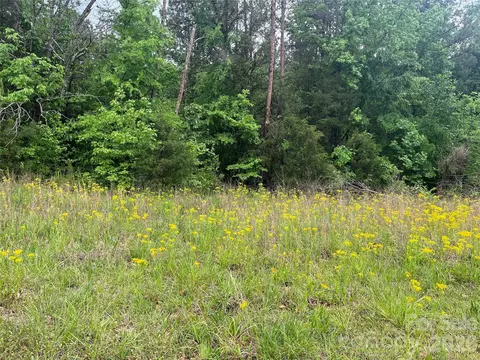 0 Darwin Rd, Gaffney, SC 29340 photo 2