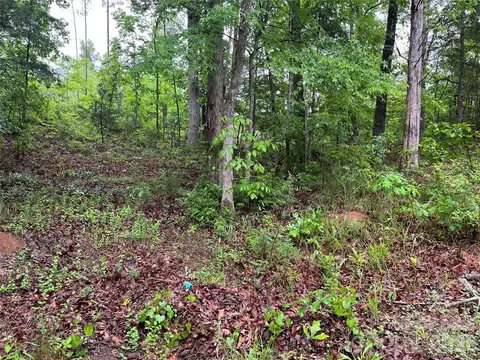 0 Darwin Rd, Gaffney, SC 29340 photo 13
