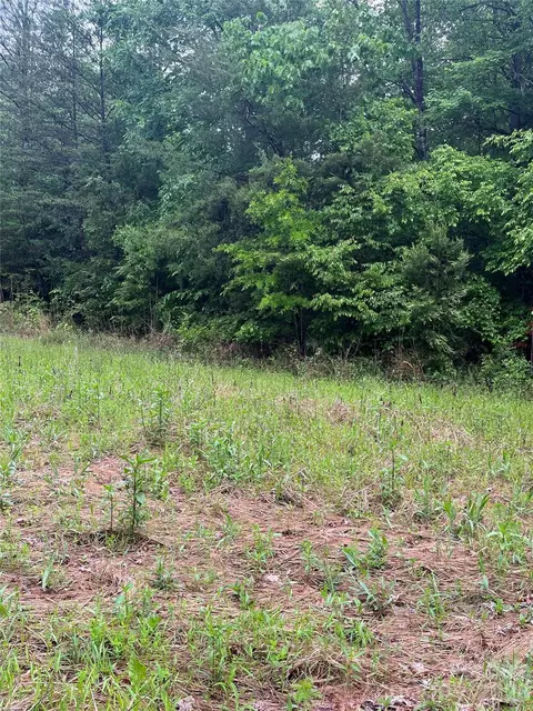 0 Darwin Rd, Gaffney, SC 29340 photo 5