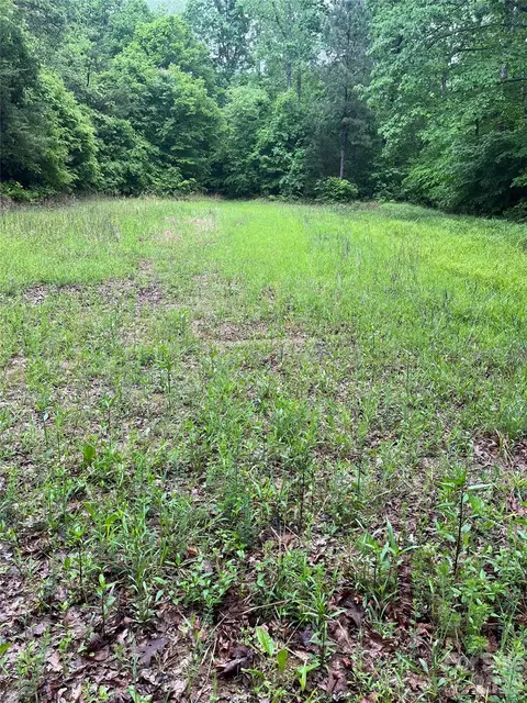 0 Darwin Rd, Gaffney, SC 29340 photo 11