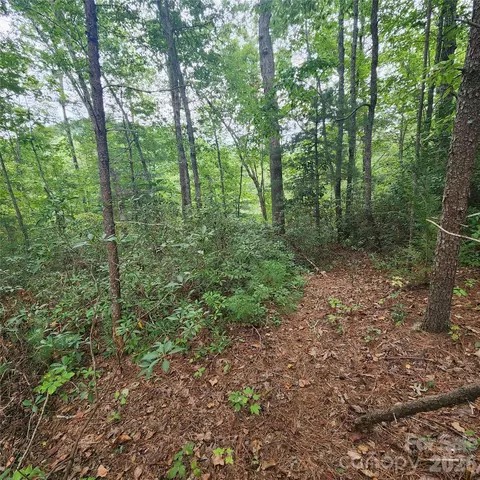 Waterside Drive, Lake Lure, NC 28746