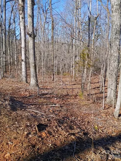 00 County Line S Rd S, Rutherfordton, NC 28139