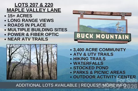 Maple Valley 207 & 220 Lane #207 & 220, Purlear, NC 28665